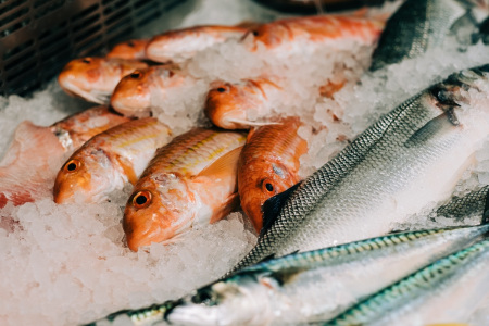 branding-chandos-deli-fish-counter